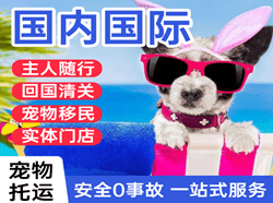 张家界航空运输国际宠物托运 【国